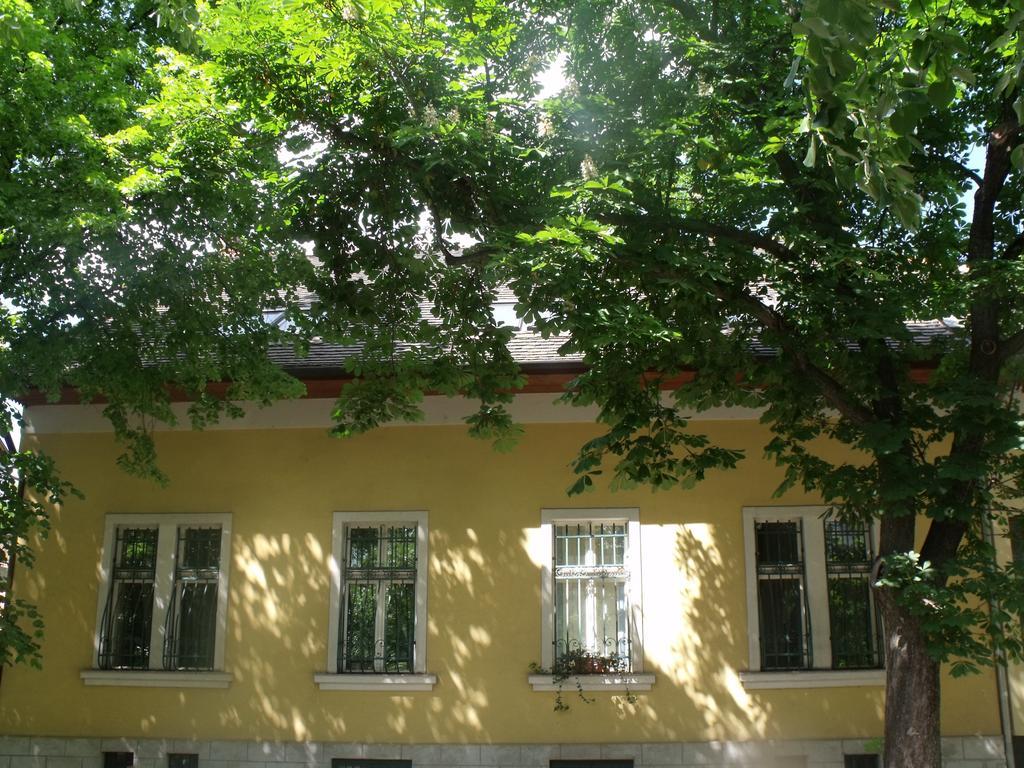 Adalbert Haz Budapest Eksteriør billede